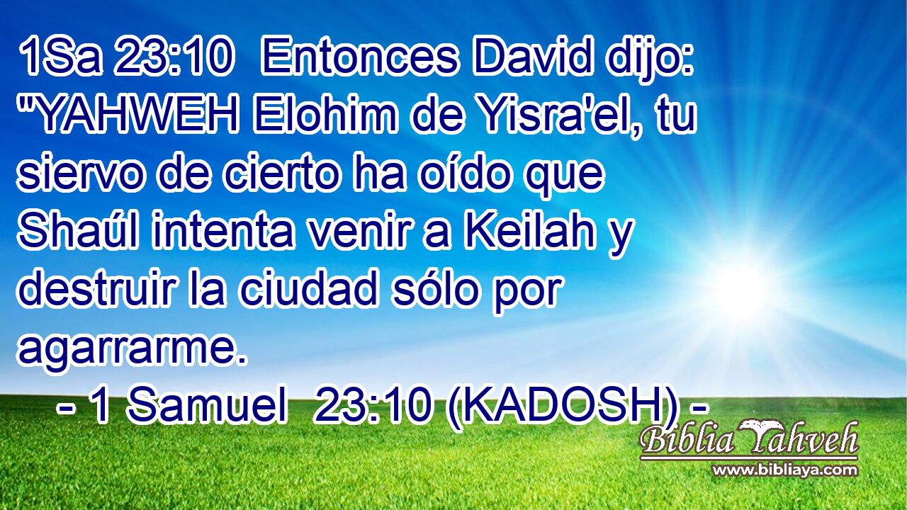  Entonces David dijo: 