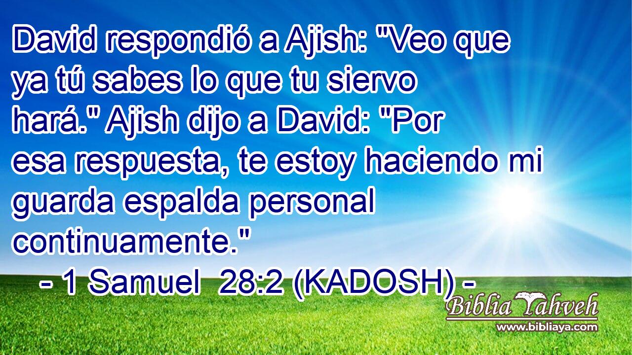  David respondió a Ajish: 