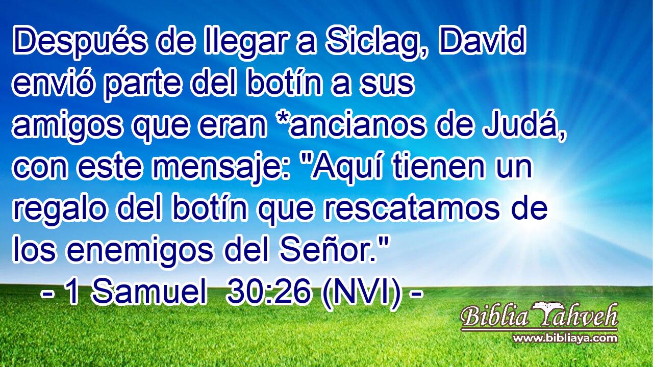  Después de llegar a Siclag, David envió parte del botín a sus amigos que eran *ancianos de Judá, con este mensaje: 