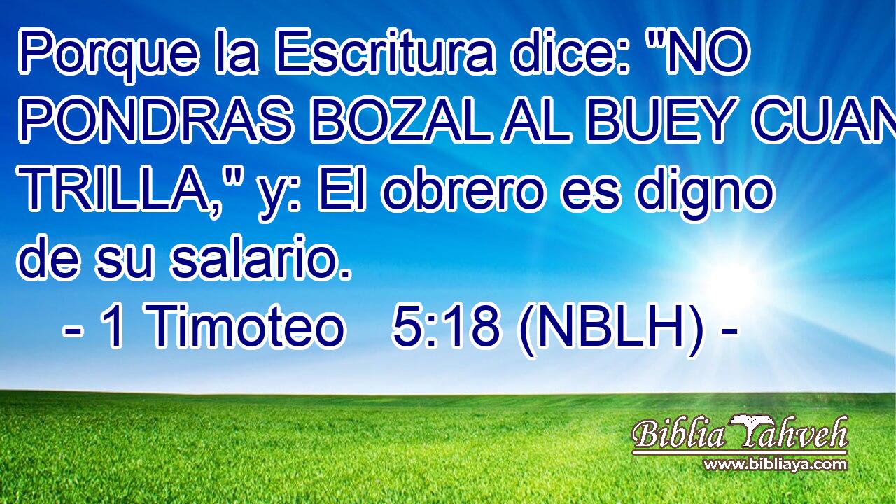  Porque la Escritura dice: 