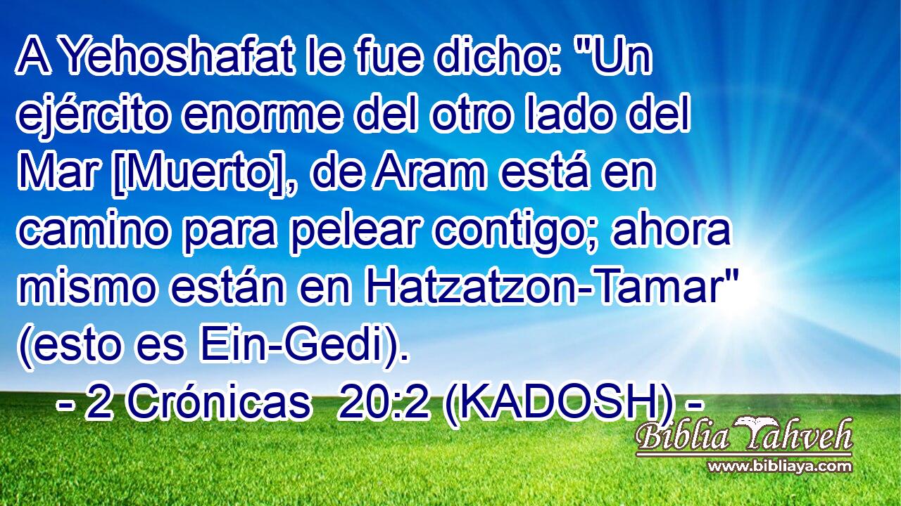  A Yehoshafat le fue dicho: 