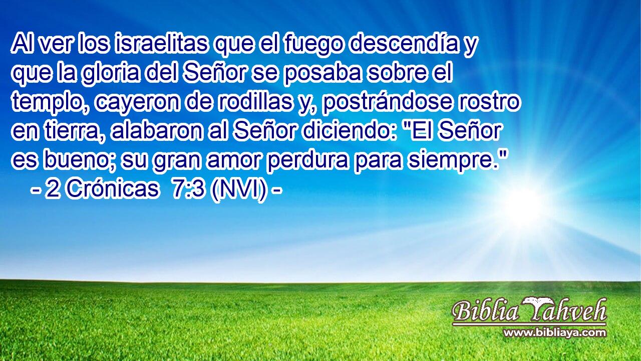  Al ver los israelitas que el fuego descendía y que la gloria del Señor se posaba sobre el templo, cayeron de rodillas y, postrándose rostro en tierra, alabaron al Señor diciendo: 