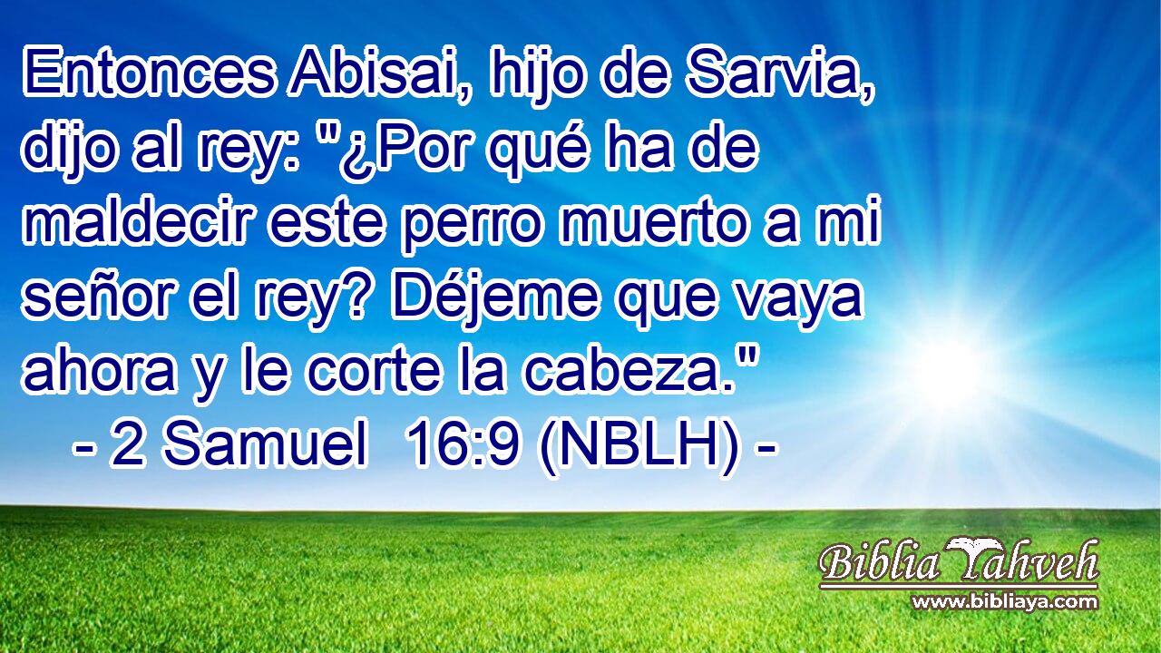  Entonces Abisai, hijo de Sarvia, dijo al rey: 