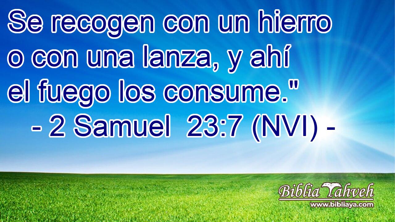  Se recogen con un hierro o con una lanza, y ahí el fuego los consume.