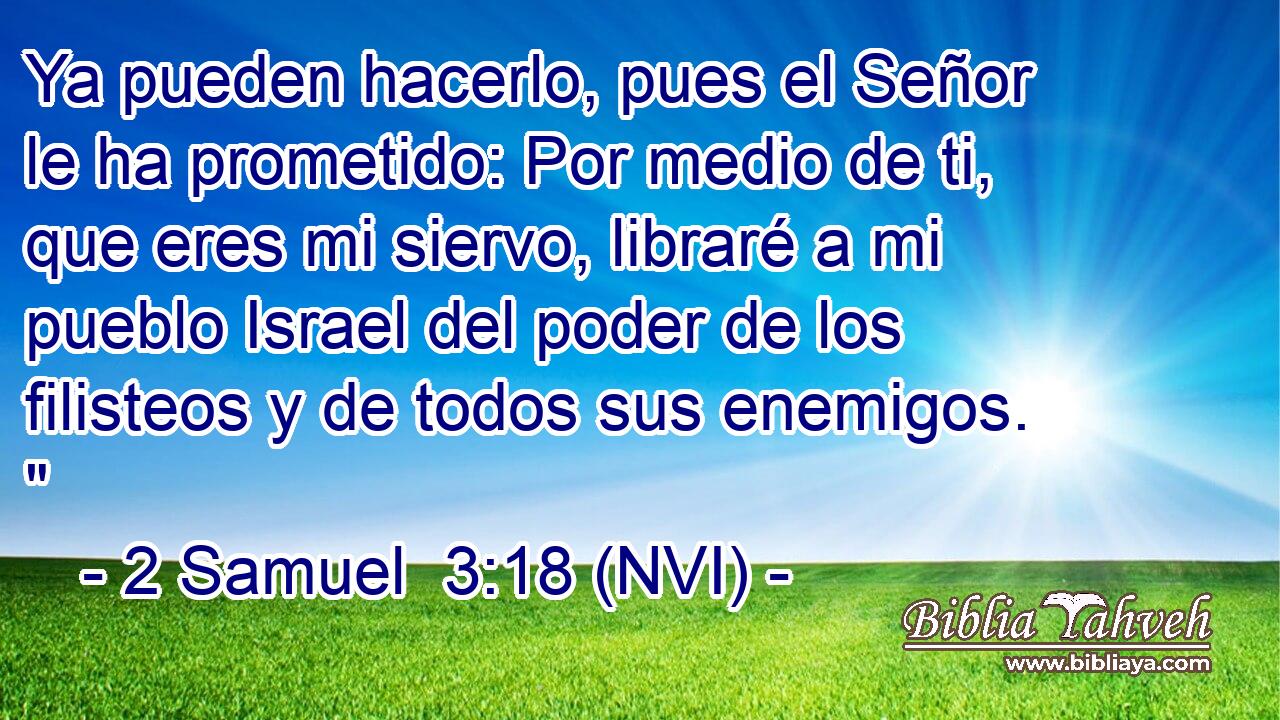  Ya pueden hacerlo, pues el Señor le ha prometido: Por medio de ti, que eres mi siervo, libraré a mi pueblo Israel del poder de los filisteos y de todos sus enemigos. 