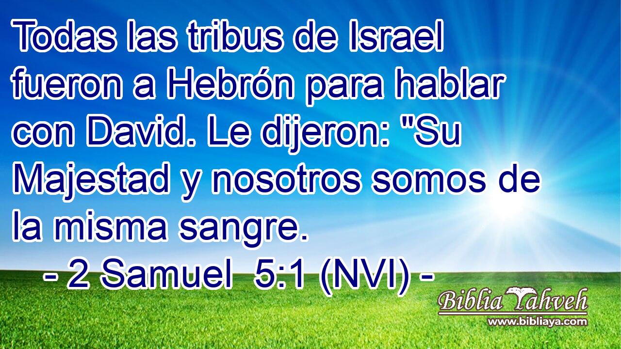  Todas las tribus de Israel fueron a Hebrón para hablar con David. Le dijeron: 