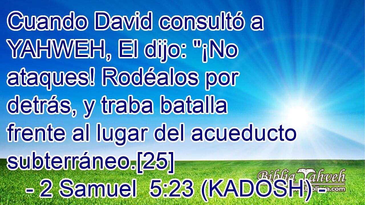  Cuando David consultó a YAHWEH, El dijo: 