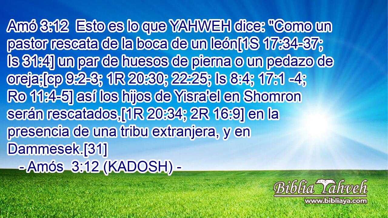  Esto es lo que YAHWEH dice: 