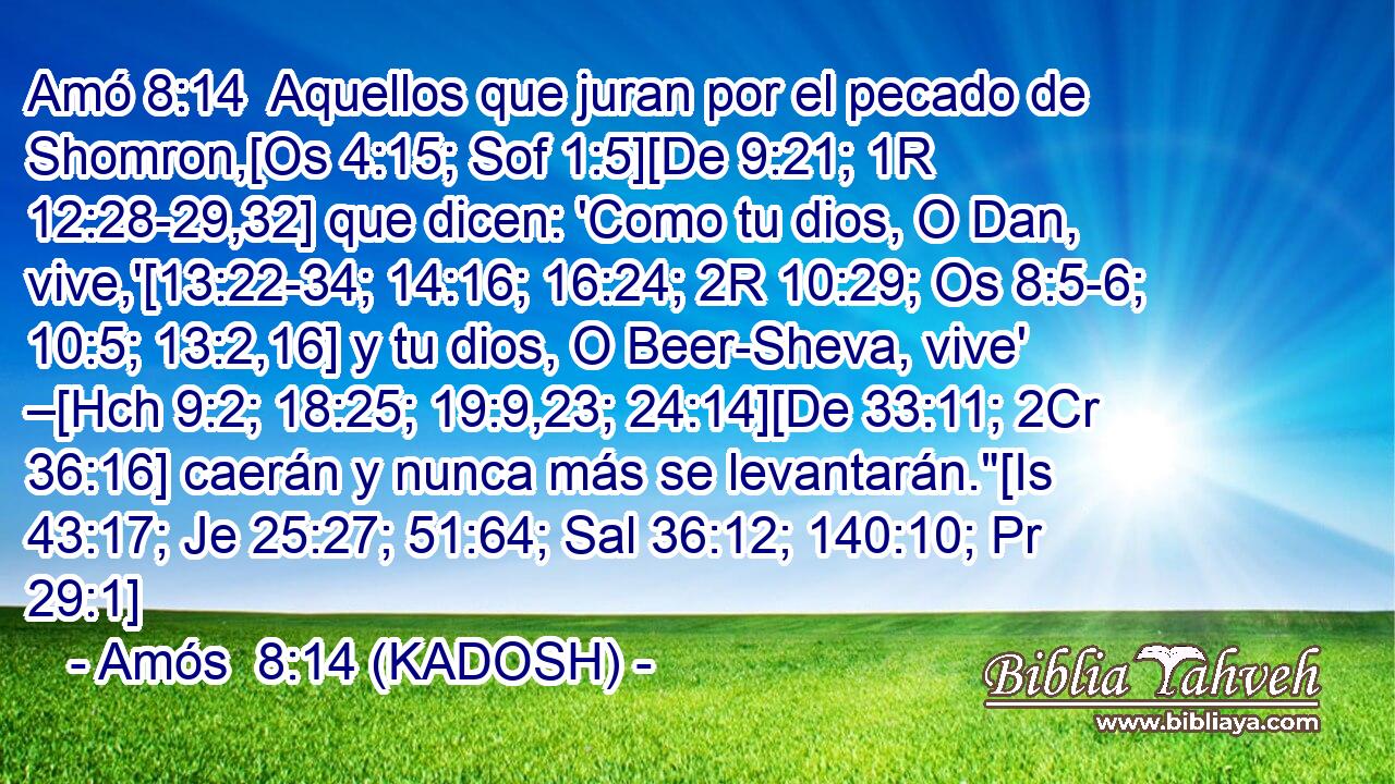  Aquellos que juran por el pecado de Shomron,[Os 4:15; Sof 1:5][De 9:21; 1R 12:28-29,32] que dicen: 'Como tu dios, O Dan, vive,'[13:22-34; 14:16; 16:24; 2R 10:29; Os 8:5-6; 10:5; 13:2,16] y tu dios, O Beer-Sheva, vive' –[Hch 9:2; 18:25; 19:9,23; 24:14][De 33:11; 2Cr 36:16] caerán y nunca más se levantarán.