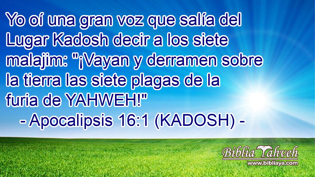  Yo oí una gran voz que salía del Lugar Kadosh decir a los siete malajim: 