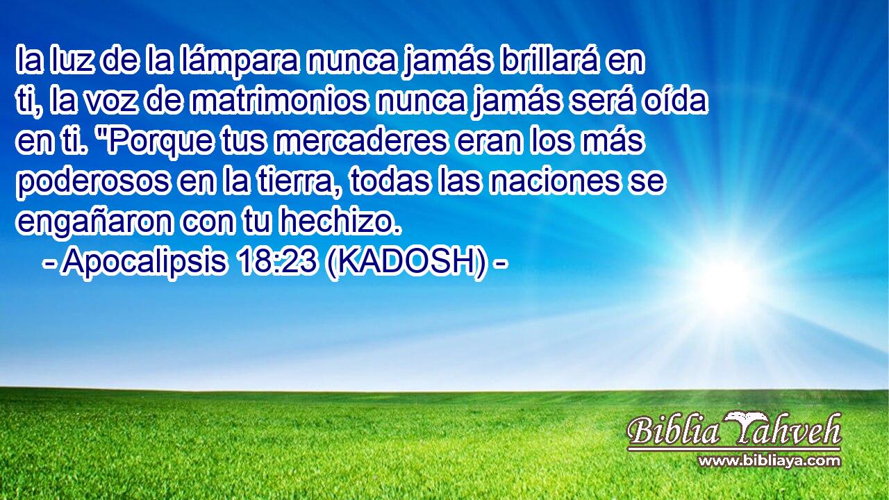  la luz de la lámpara nunca jamás brillará en ti, la voz de matrimonios nunca jamás será oída en ti. 