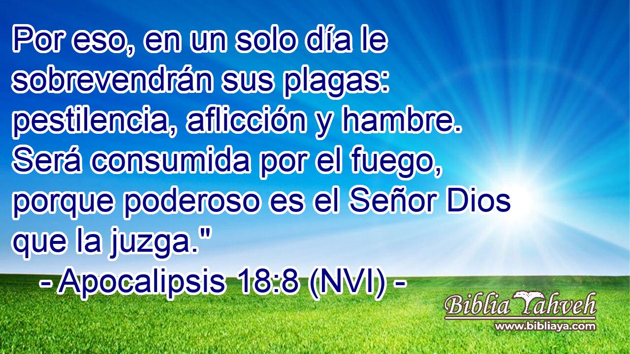  Por eso, en un solo día le sobrevendrán sus plagas: pestilencia, aflicción y hambre. Será consumida por el fuego, porque poderoso es el Señor Dios que la juzga.