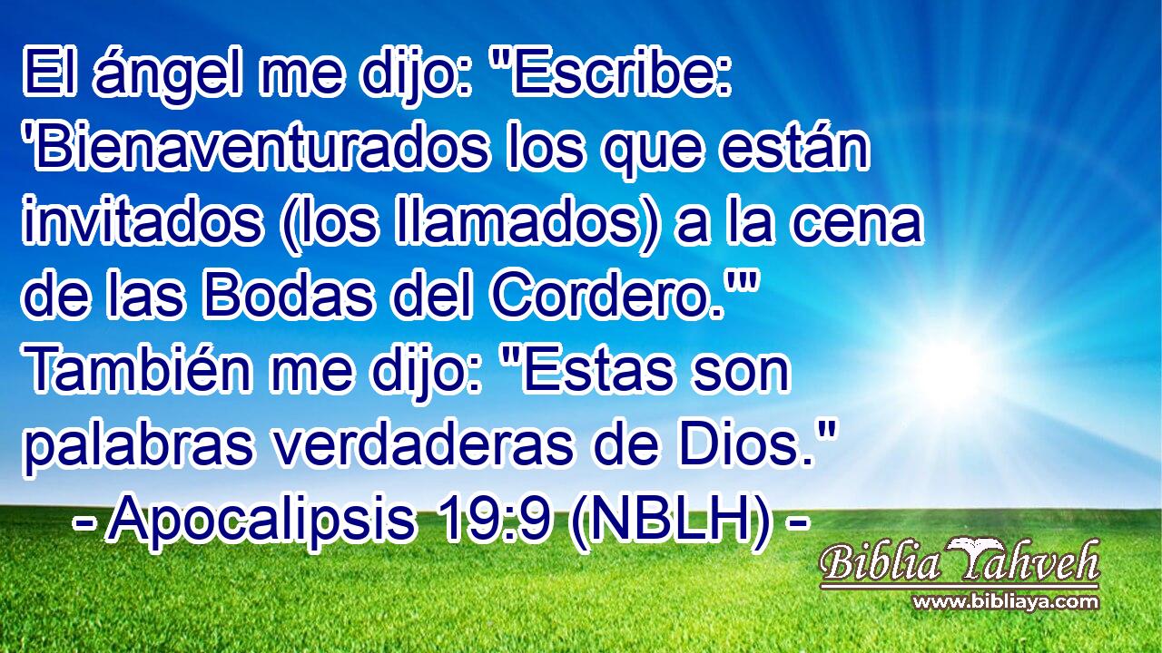  El ángel me dijo: 