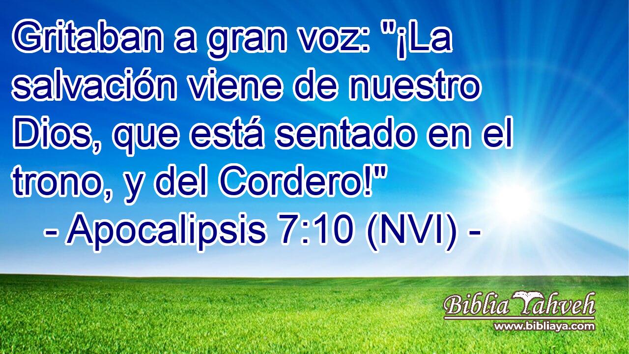  Gritaban a gran voz: 