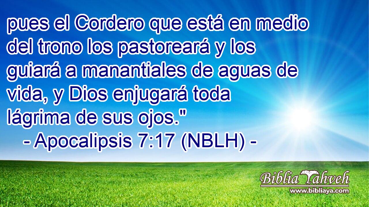  pues el Cordero que está en medio del trono los pastoreará y los guiará a manantiales de aguas de vida, y Dios enjugará toda lágrima de sus ojos.