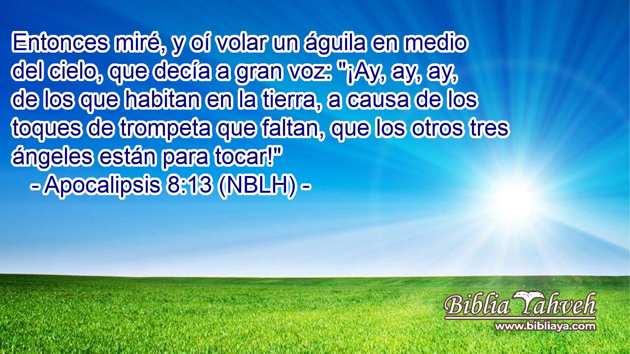  Entonces miré, y oí volar un águila en medio del cielo, que decía a gran voz: 