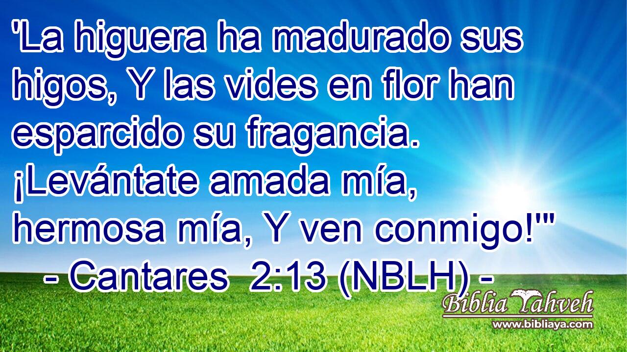  'La higuera ha madurado sus higos, Y las vides en flor han esparcido su fragancia. ¡Levántate amada mía, hermosa mía, Y ven conmigo!'