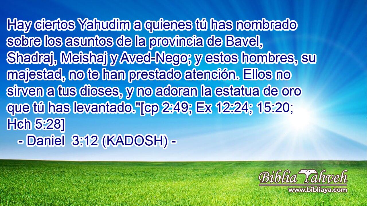  Hay ciertos Yahudim a quienes tú has nombrado sobre los asuntos de la provincia de Bavel, Shadraj, Meishaj y Aved-Nego; y estos hombres, su majestad, no te han prestado atención. Ellos no sirven a tus dioses, y no adoran la estatua de oro que tú has levantado.