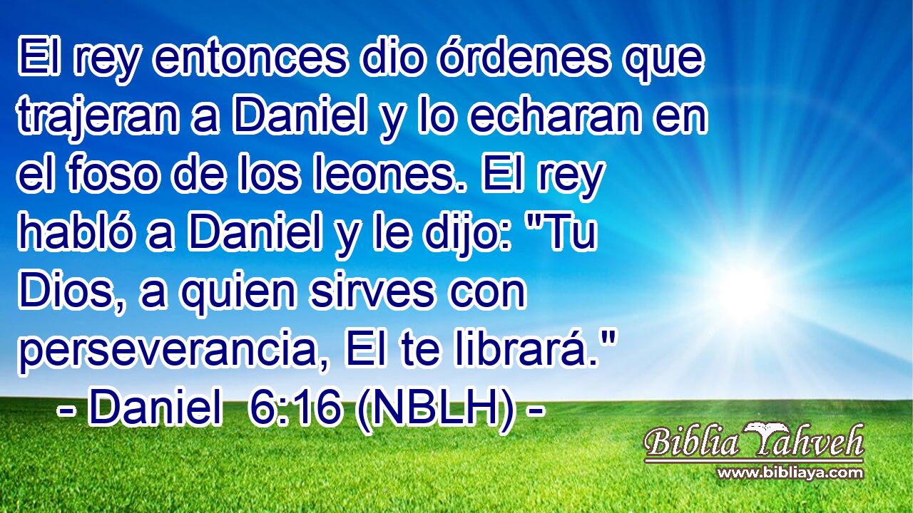  El rey entonces dio órdenes que trajeran a Daniel y lo echaran en el foso de los leones. El rey habló a Daniel y le dijo: 