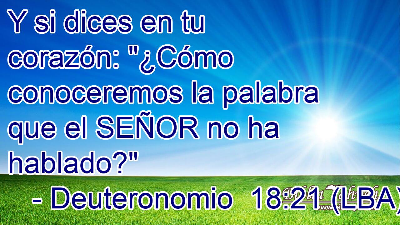 Y si dices en tu corazón: 