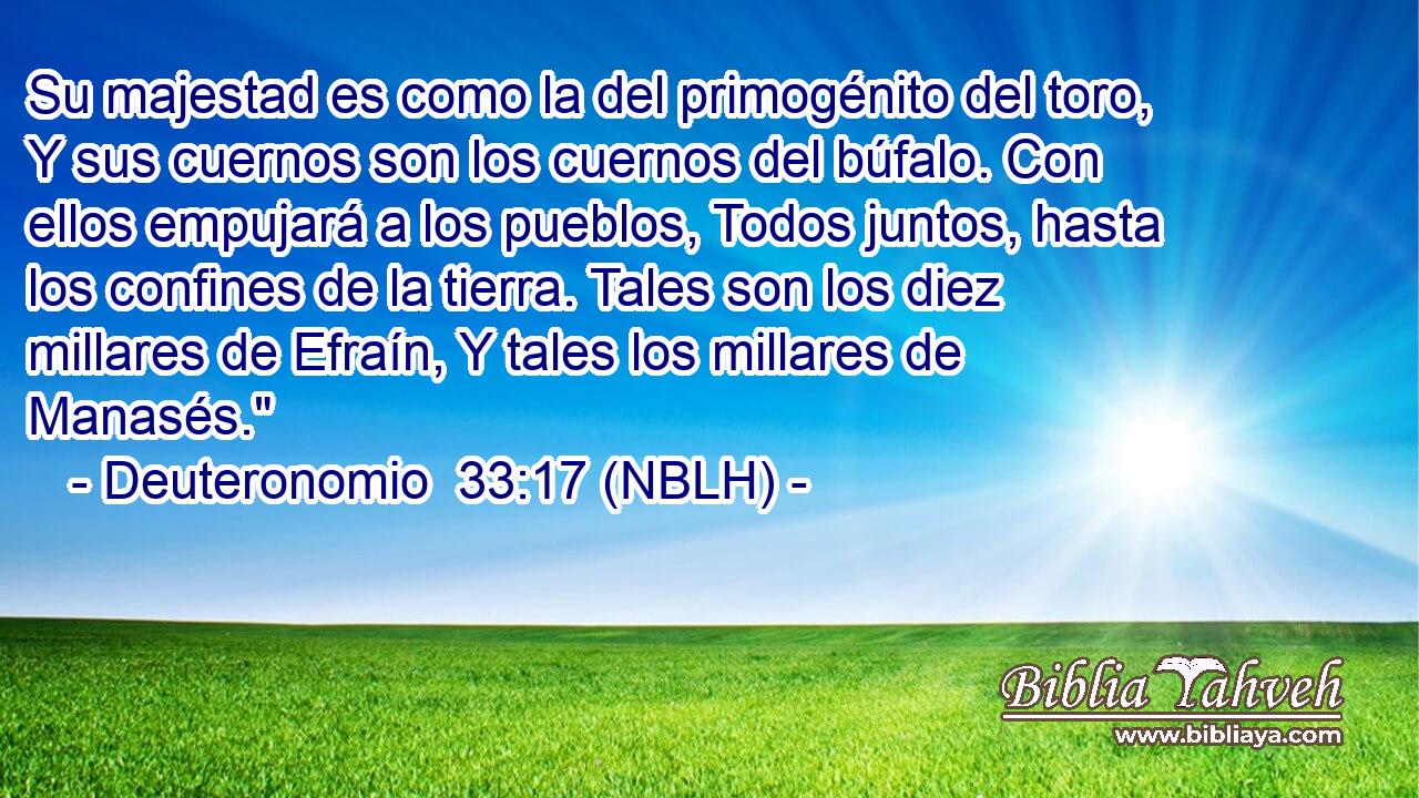  Su majestad es como la del primogénito del toro, Y sus cuernos son los cuernos del búfalo. Con ellos empujará a los pueblos, Todos juntos, hasta los confines de la tierra. Tales son los diez millares de Efraín, Y tales los millares de Manasés.