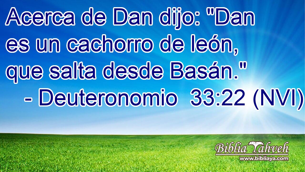  Acerca de Dan dijo: 