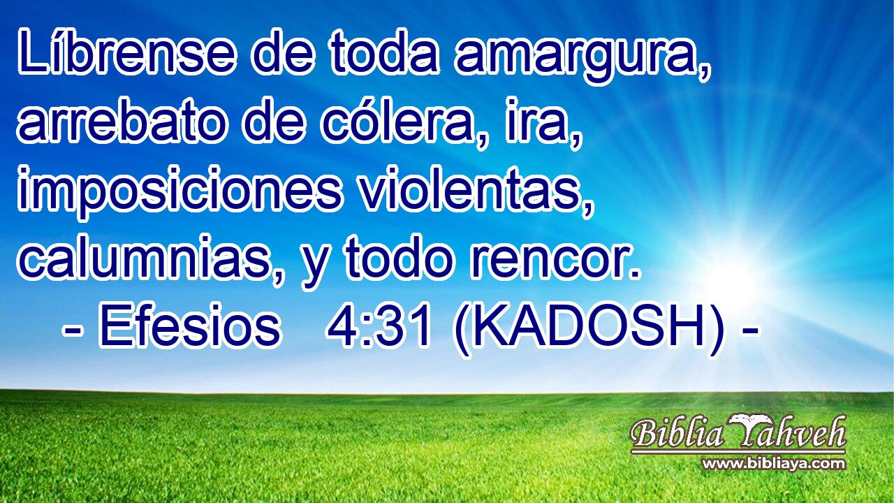 Efesios 4:31 (kadosh) - Líbrense de toda amargura, arrebato de...