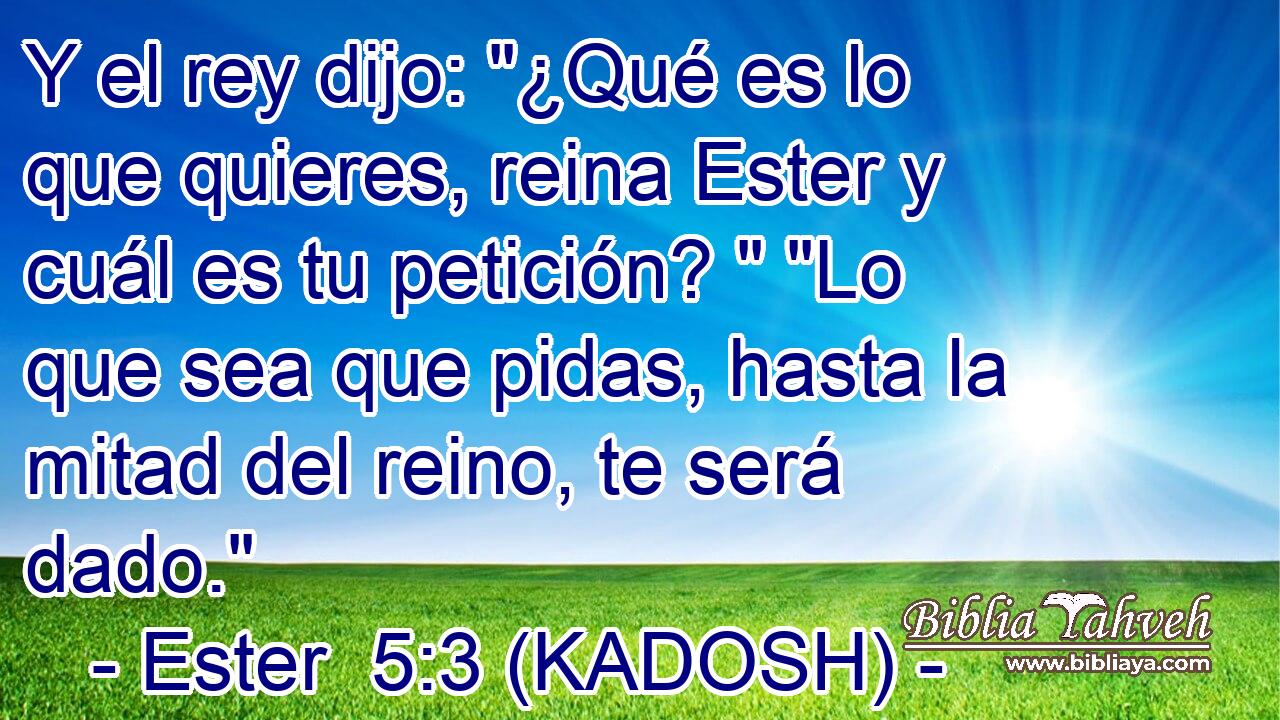  Y el rey dijo: 