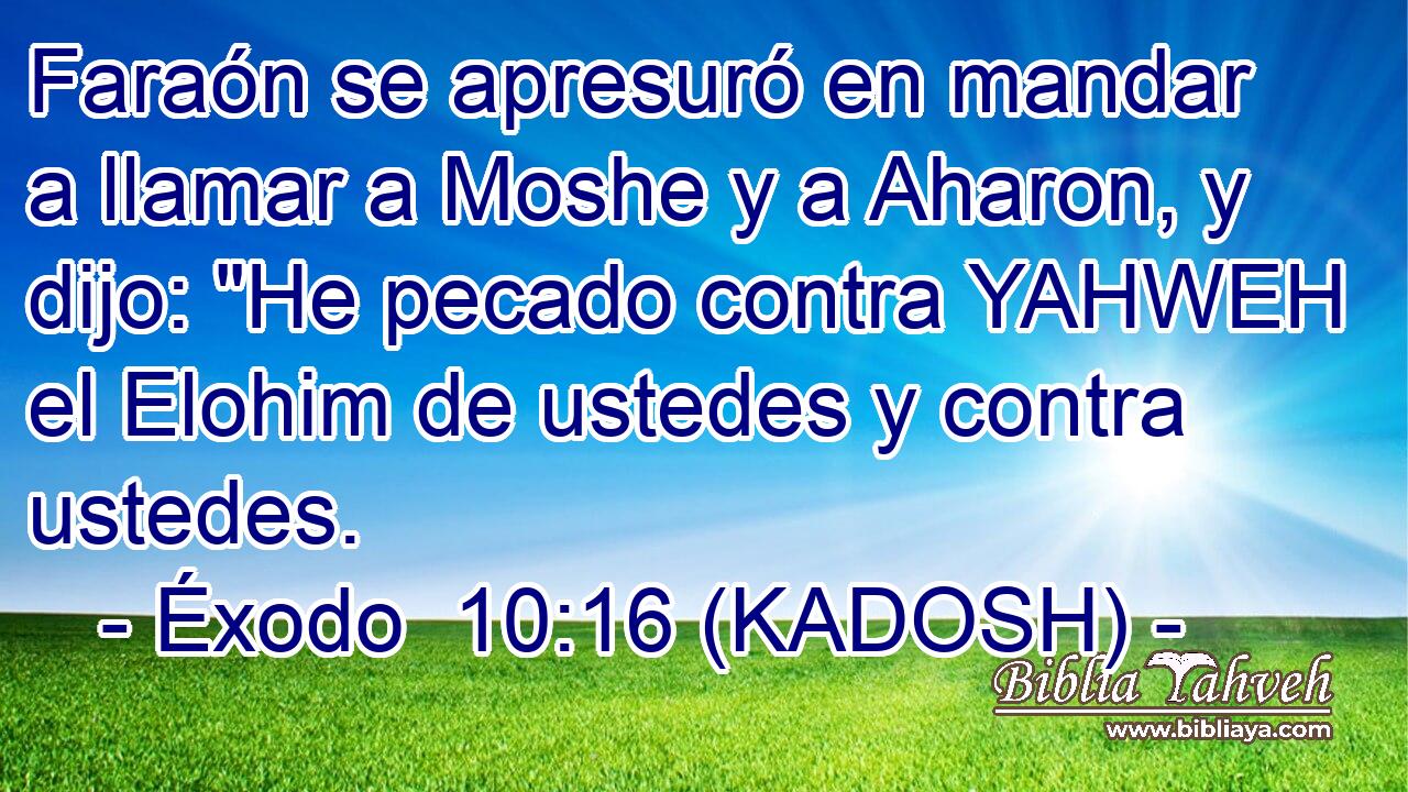  Faraón se apresuró en mandar a llamar a Moshe y a Aharon, y dijo: 