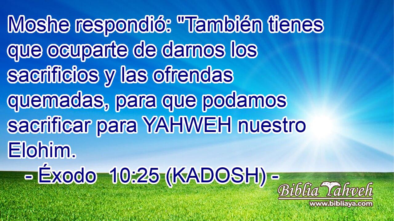  Moshe respondió: 