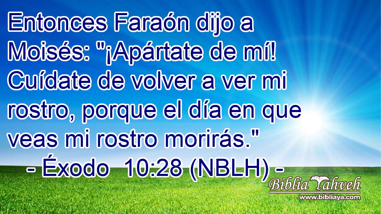  Entonces Faraón dijo a Moisés: 