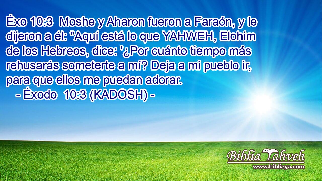 Moshe y Aharon fueron a Faraón, y le dijeron a él: 