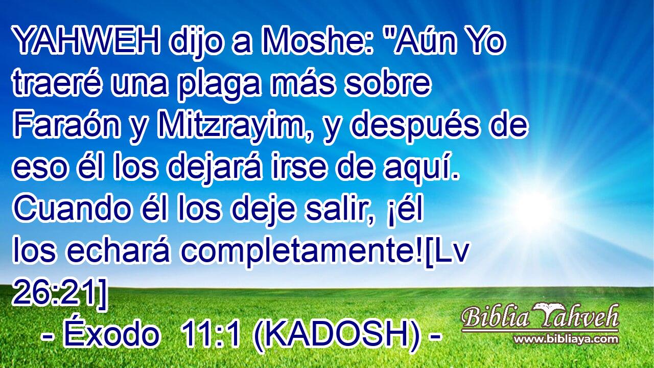  YAHWEH dijo a Moshe: 