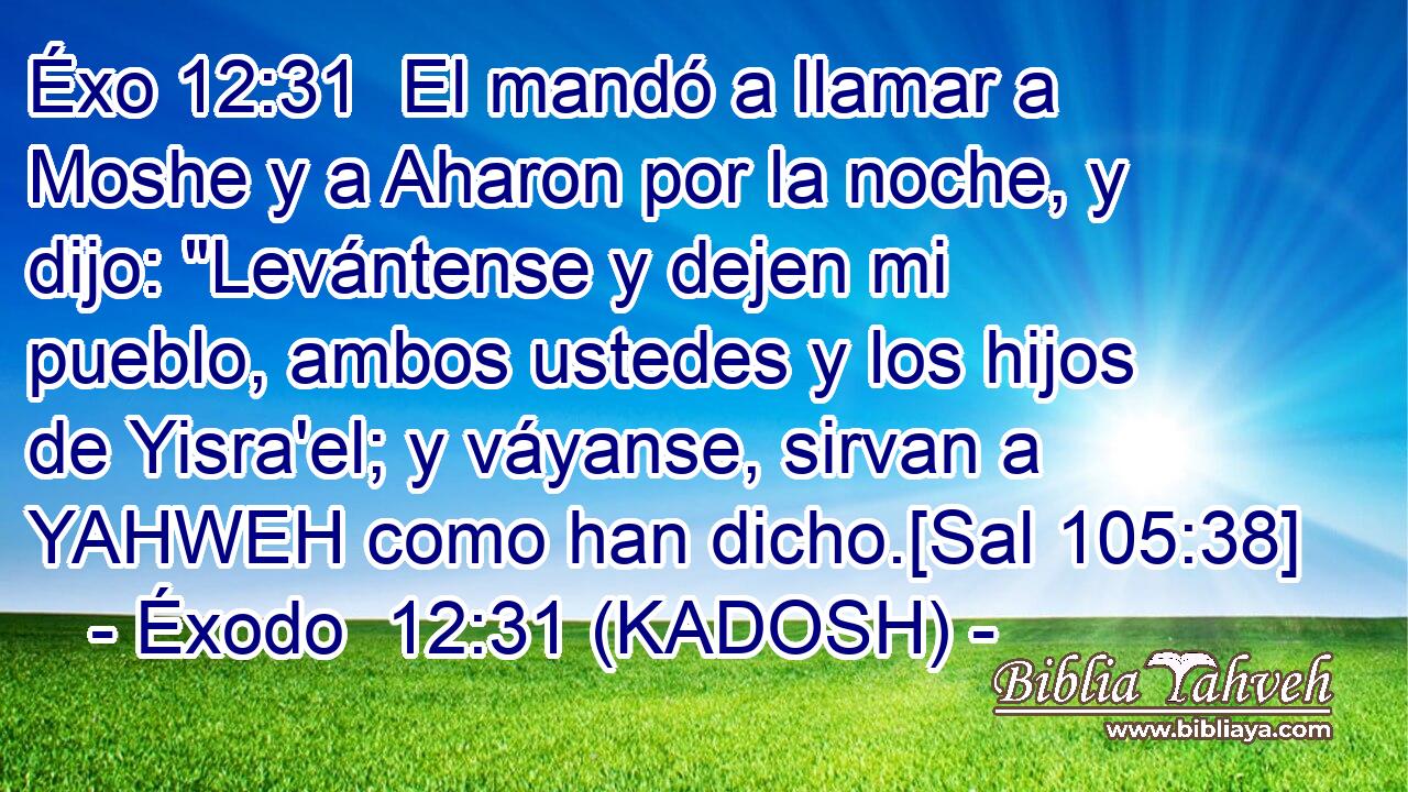  El mandó a llamar a Moshe y a Aharon por la noche, y dijo: 