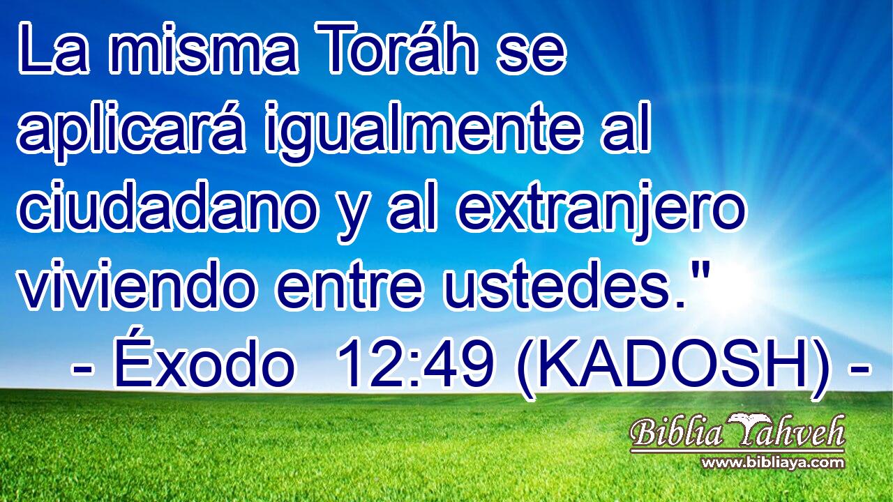  La misma Toráh se aplicará igualmente al ciudadano y al extranjero viviendo entre ustedes.