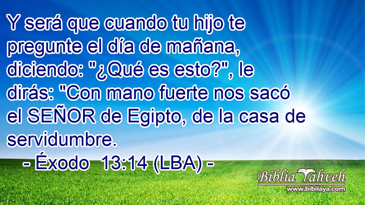 Y será que cuando tu hijo te pregunte el día de mañana, diciendo: 