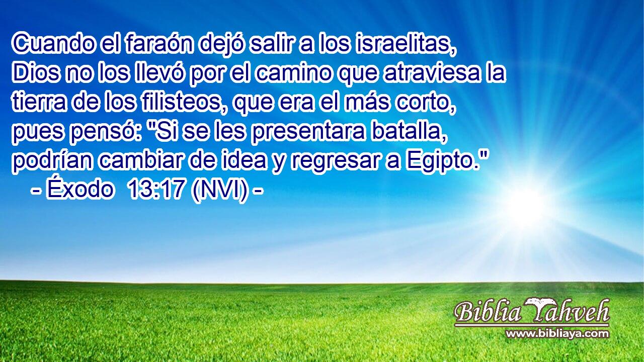  Cuando el faraón dejó salir a los israelitas, Dios no los llevó por el camino que atraviesa la tierra de los filisteos, que era el más corto, pues pensó: 