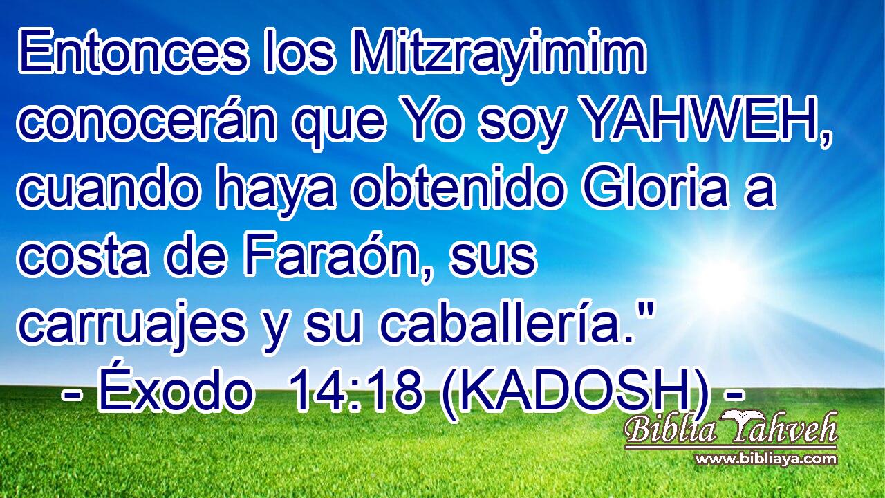  Entonces los Mitzrayimim conocerán que Yo soy YAHWEH, cuando haya obtenido Gloria a costa de Faraón, sus carruajes y su caballería.