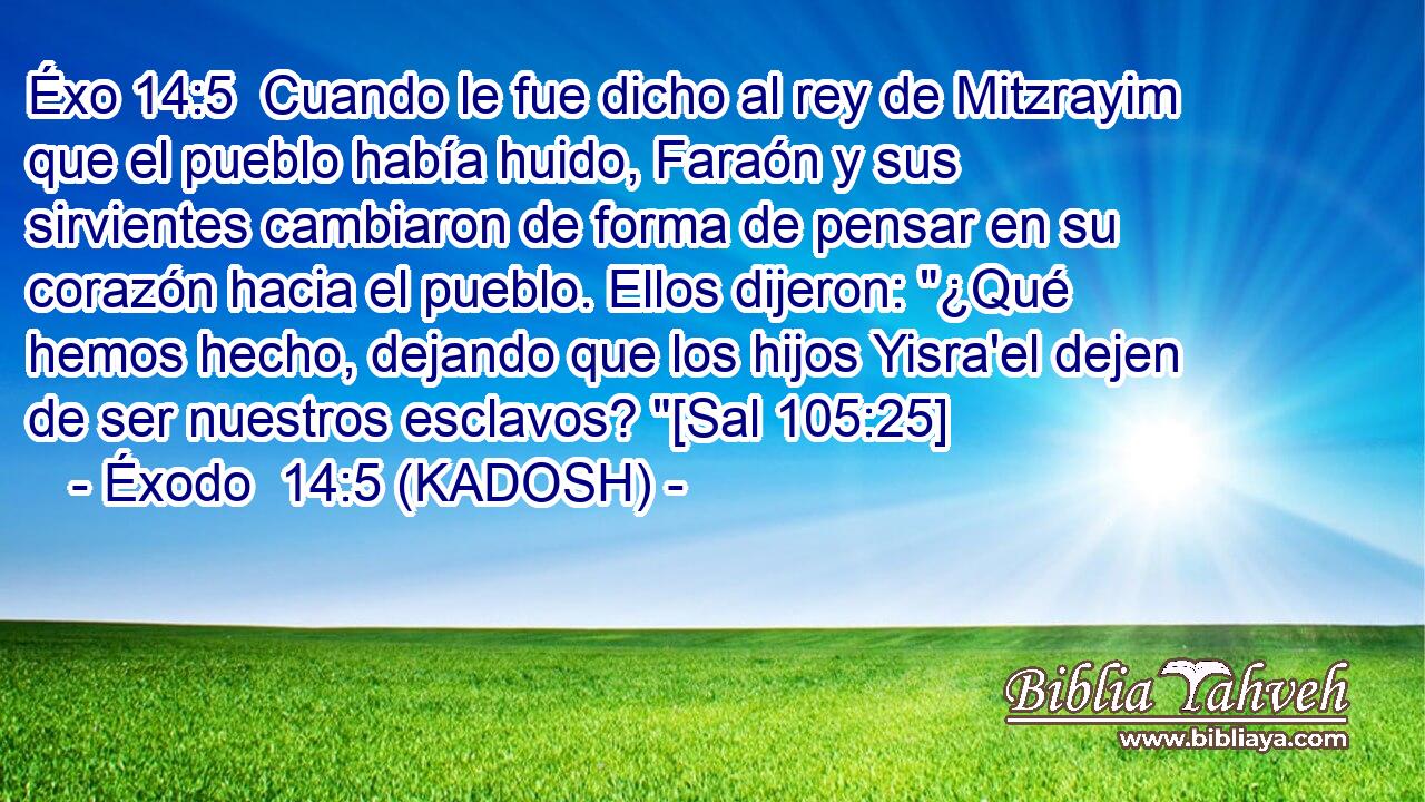  Cuando le fue dicho al rey de Mitzrayim que el pueblo había huido, Faraón y sus sirvientes cambiaron de forma de pensar en su corazón hacia el pueblo. Ellos dijeron: 