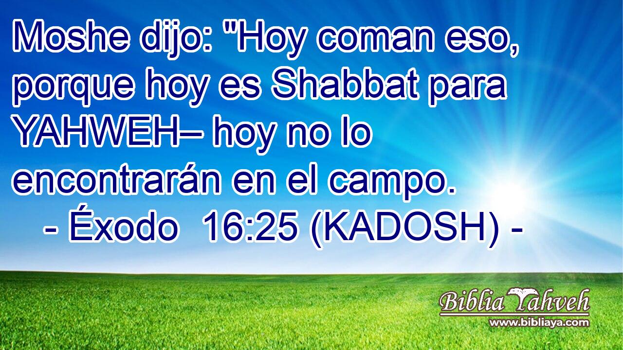  Moshe dijo: 