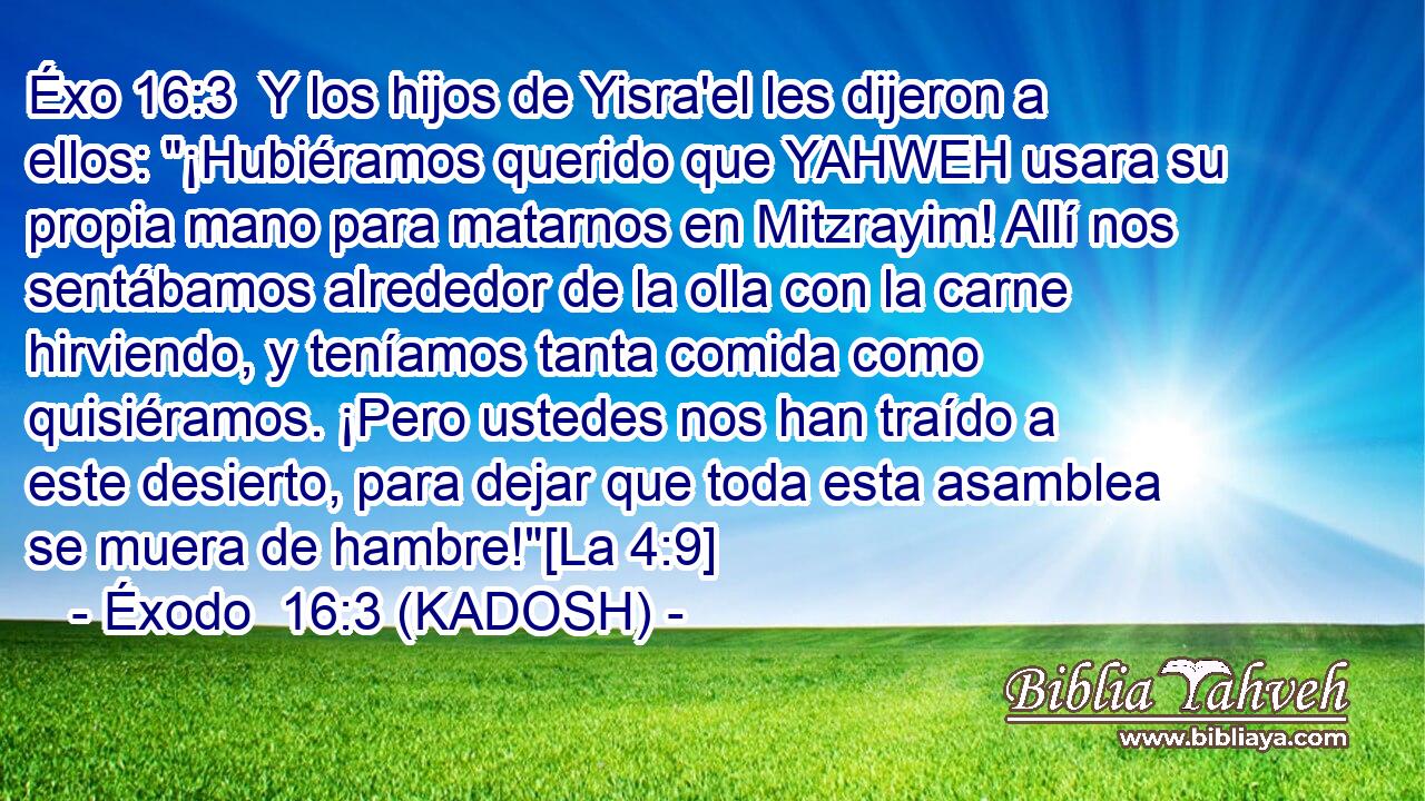  Y los hijos de Yisra'el les dijeron a ellos: 