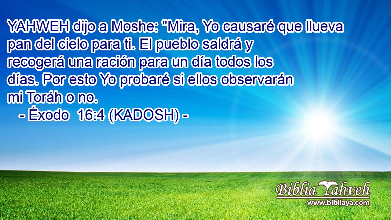  YAHWEH dijo a Moshe: 