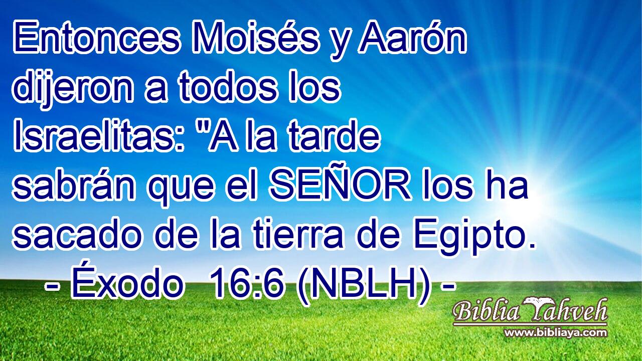  Entonces Moisés y Aarón dijeron a todos los Israelitas: 