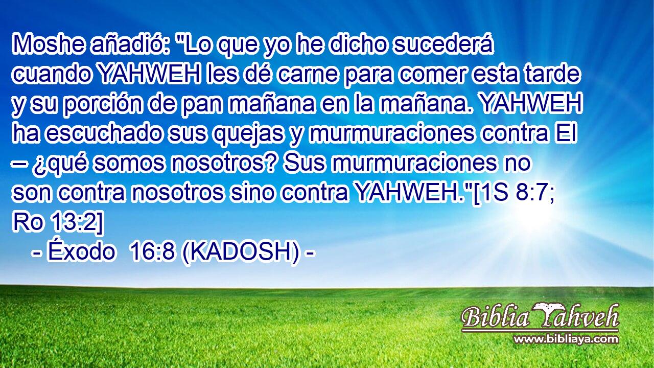  Moshe añadió: 