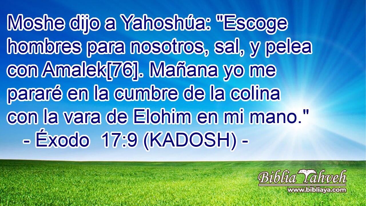  Moshe dijo a Yahoshúa: 