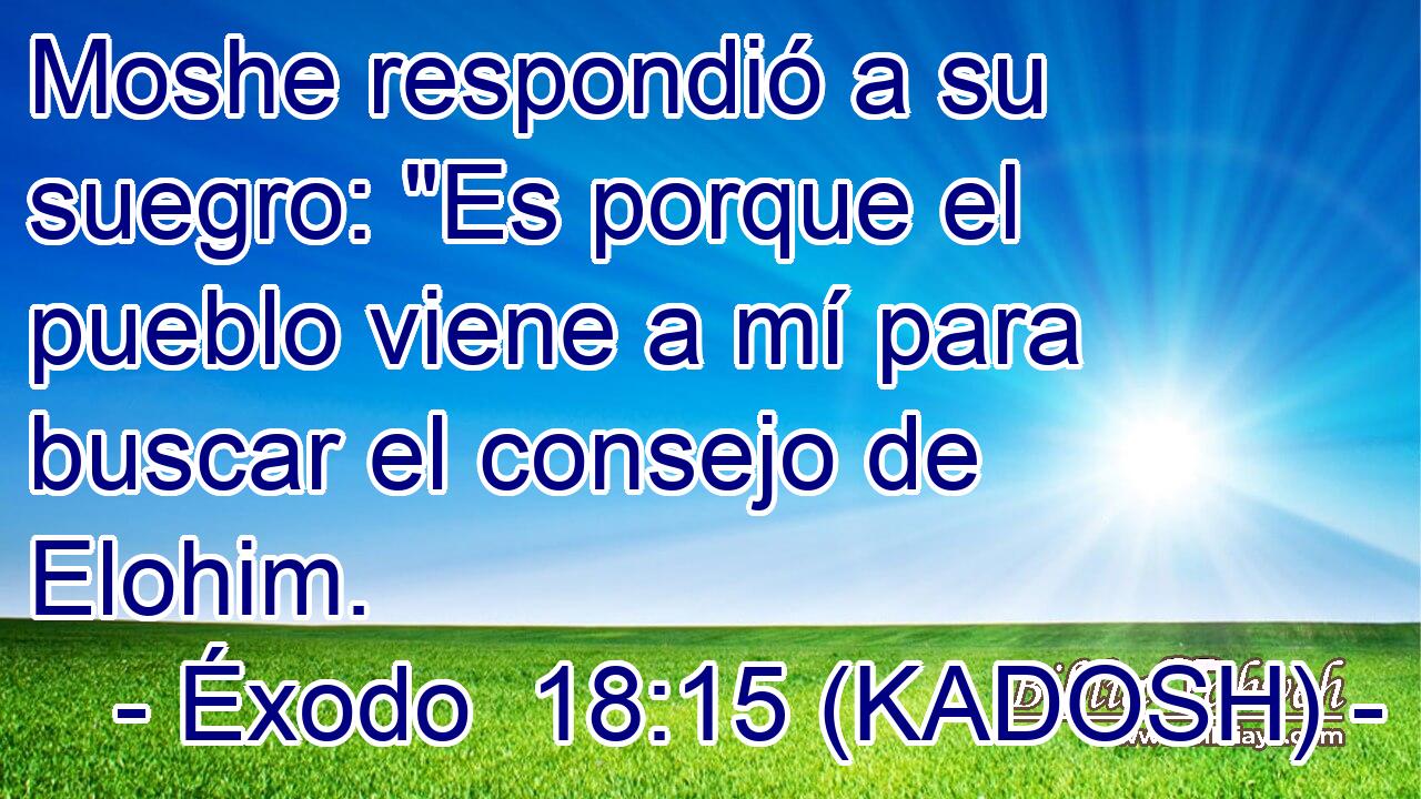 Moshe respondió a su suegro: 