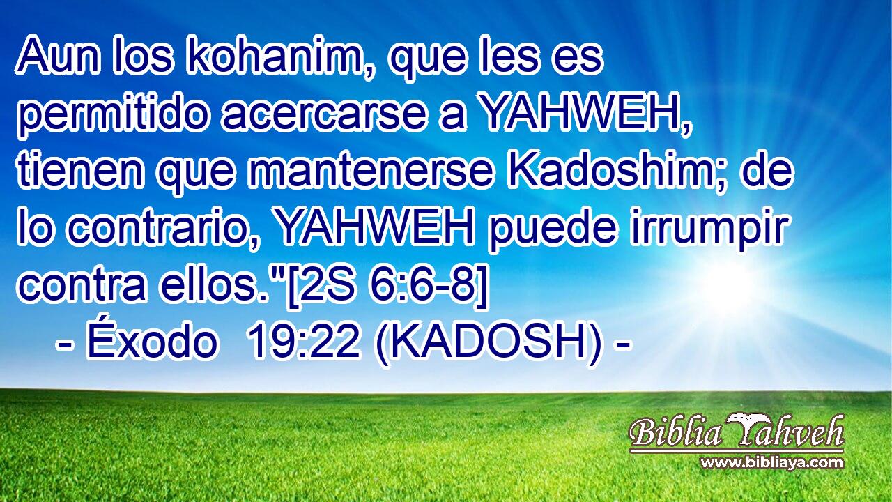 Aun los kohanim, que les es permitido acercarse a YAHWEH, tienen que mantenerse Kadoshim; de lo contrario, YAHWEH puede irrumpir contra ellos.
