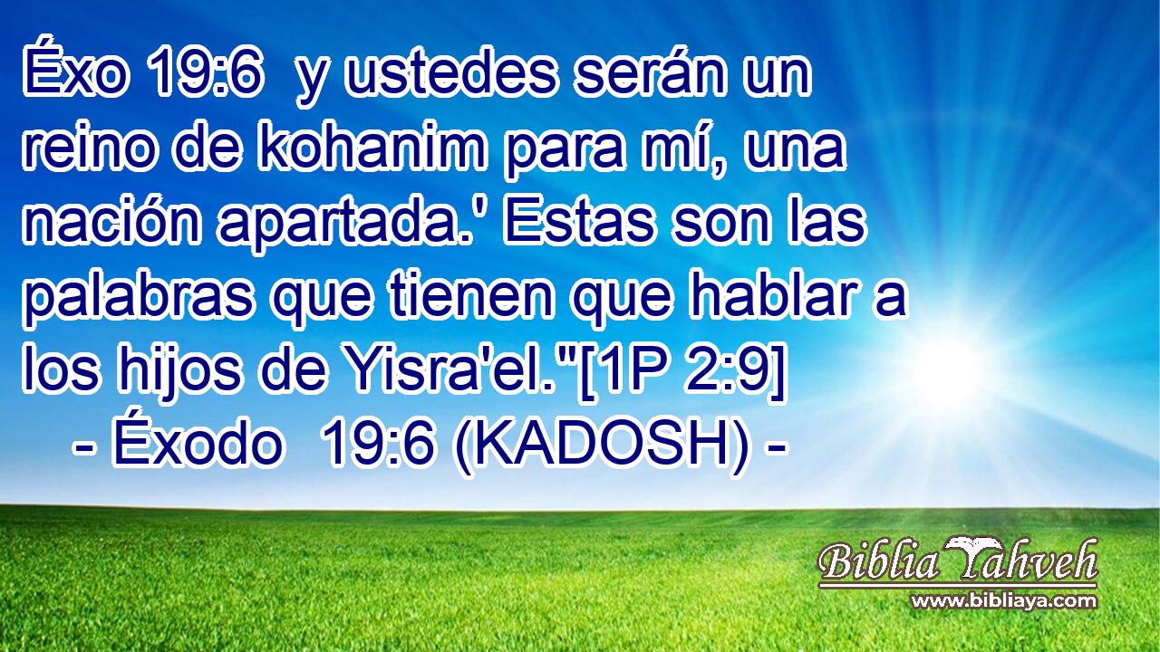  y ustedes serán un reino de kohanim para mí, una nación apartada.' Estas son las palabras que tienen que hablar a los hijos de Yisra'el.