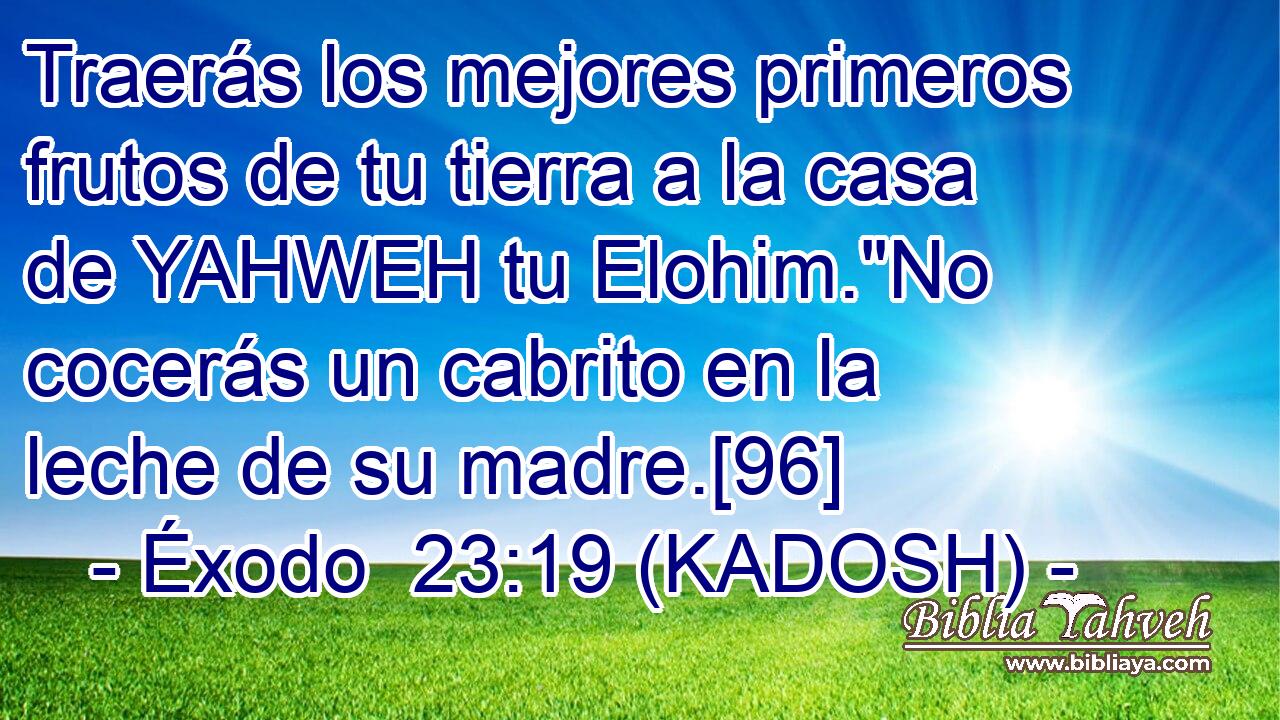  Traerás los mejores primeros frutos de tu tierra a la casa de YAHWEH tu Elohim.