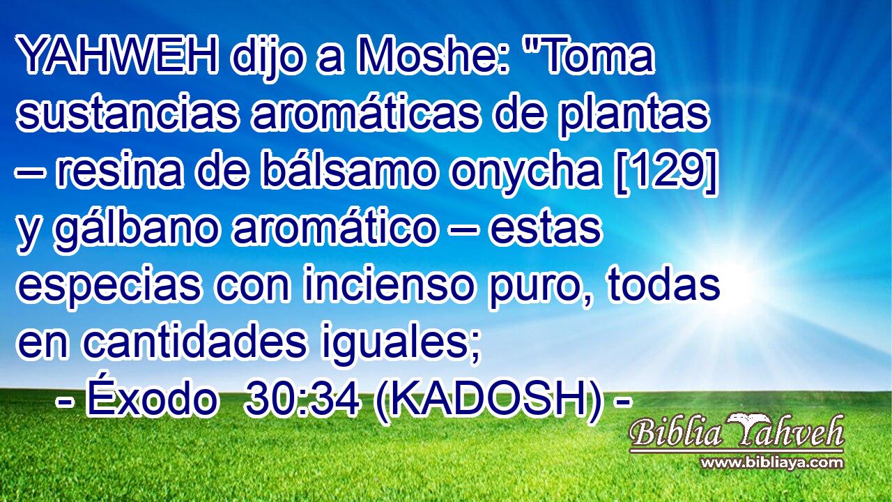  YAHWEH dijo a Moshe: 